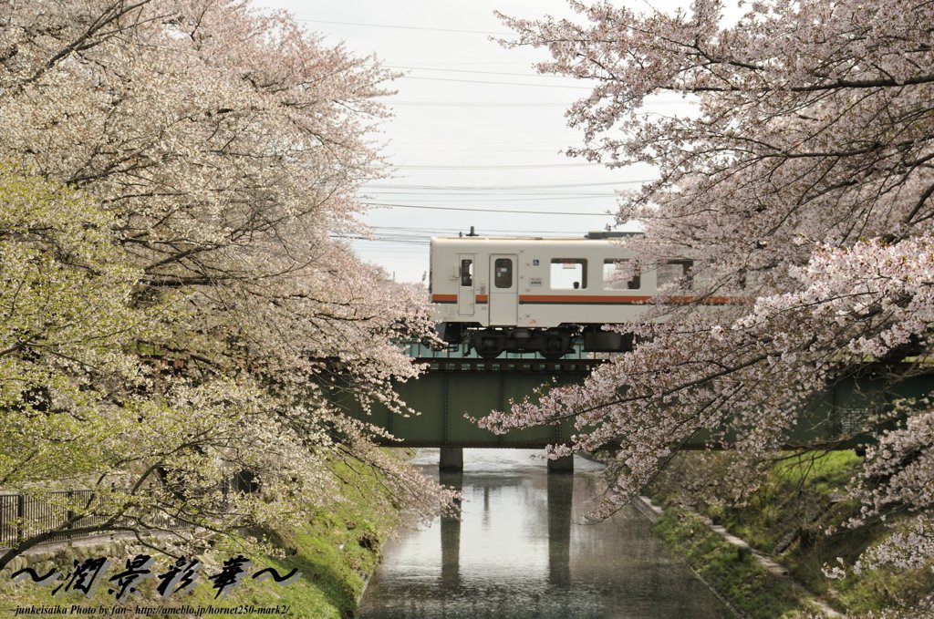 花読列車