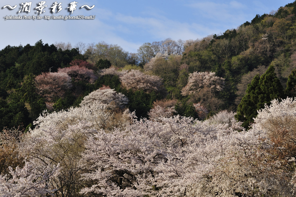 色づく山肌