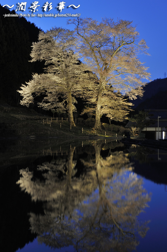 苗代水鏡