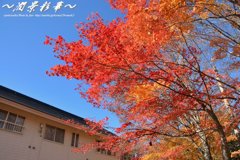 青空を紅く染めたとき