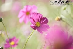 秋色が広がっていく