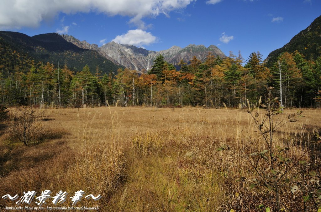湿原からの秋便り