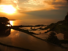 山口県東後田棚達夕日