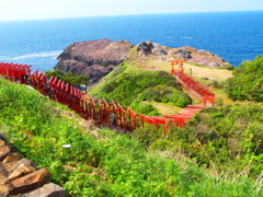 モトノスミイ　ナリジンジャ