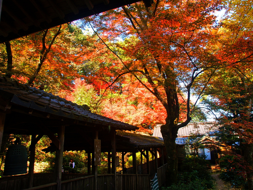 2019年11月久留米永勝寺１