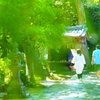 夏の参拝