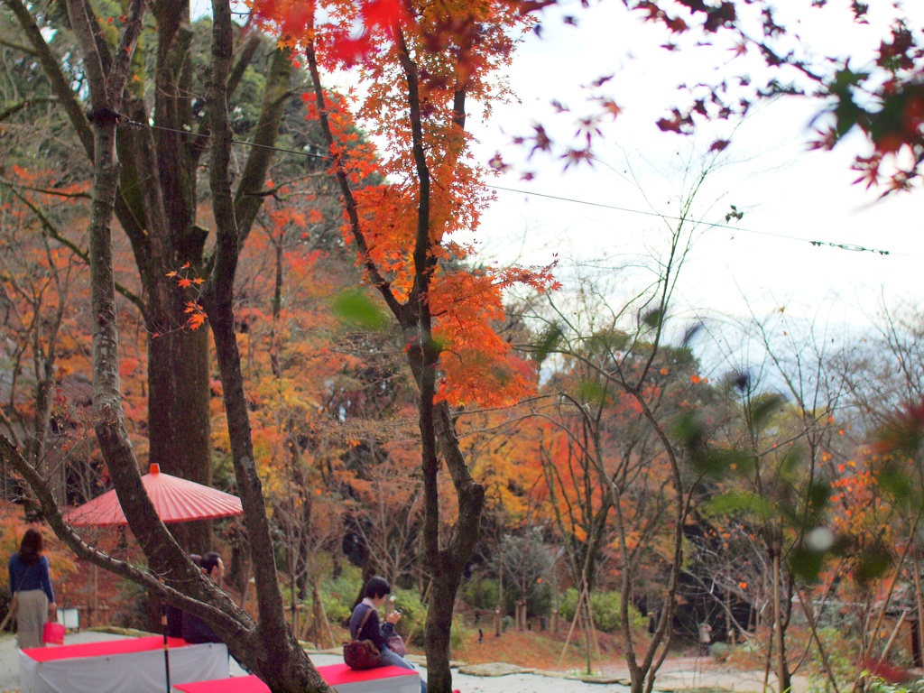 変化しています竃門神社