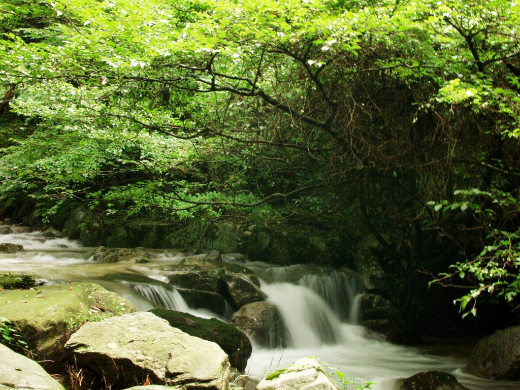 絹糸川４