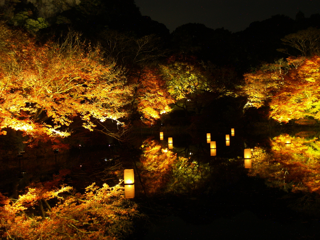 武雄御船山ライトアップ紅葉