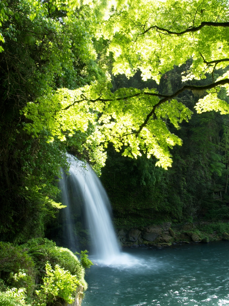 新緑と慈恩の滝