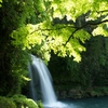 新緑と慈恩の滝