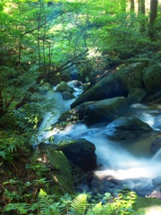渓流の清水