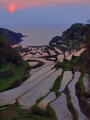 棚田の夕日２