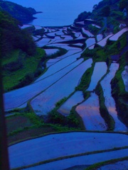 棚田に夕焼け雲が少し写り込みしてます