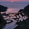 棚田夕陽２