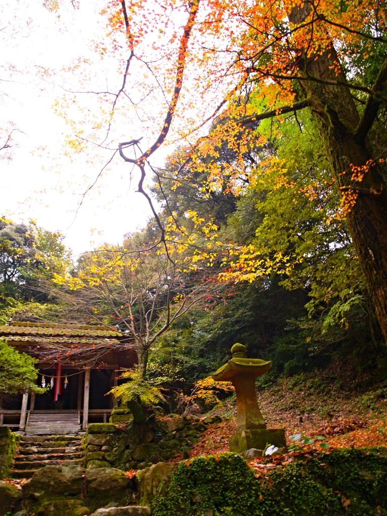 名もない神社