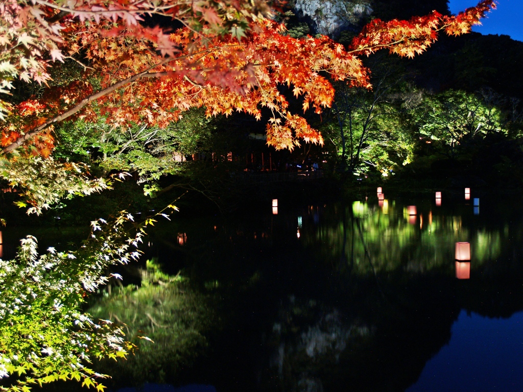 御船山楽園紅葉ライトアップ１