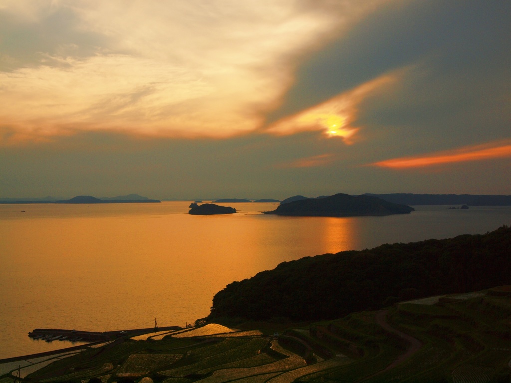 土谷棚田2017年5月20日