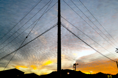 P1080396/紅コーナー