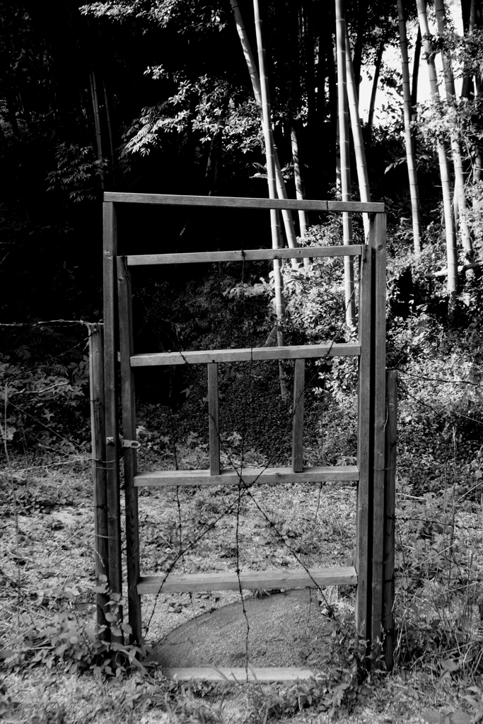 どこでもドア（見えてるけど）