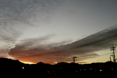 P1080408／紅の帯