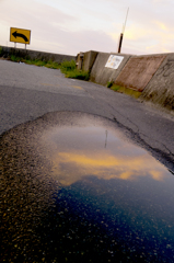 P1080387／水溜りの夕陽