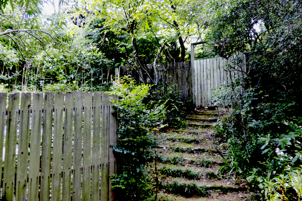 注文の多い料理店