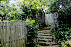 注文の多い料理店