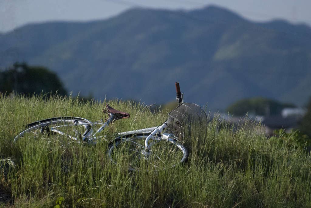 自転車