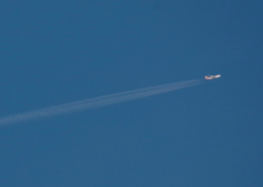 この飛行機、どこのでしょう（詳しい方、教えてくださーい）