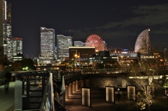 横浜Night