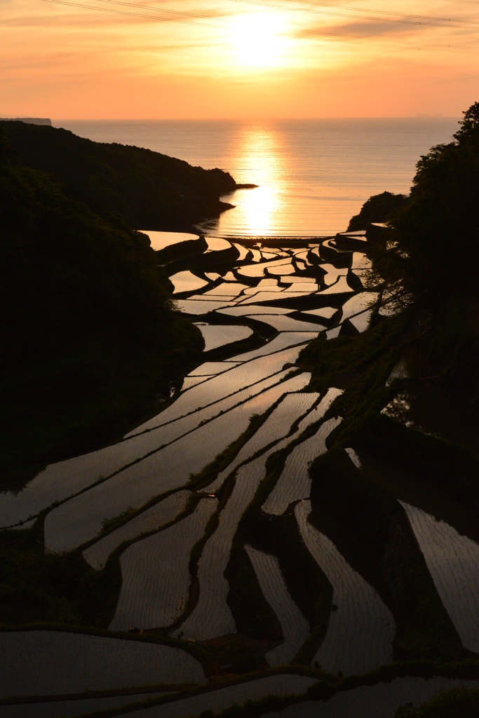 浜野浦棚田～夕陽に輝く～