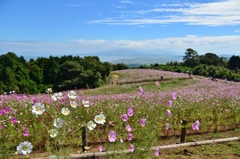 白木峰に秋到来