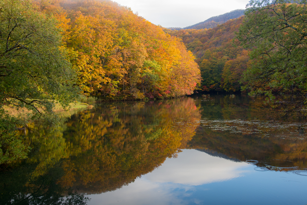 曲沢沼の紅葉