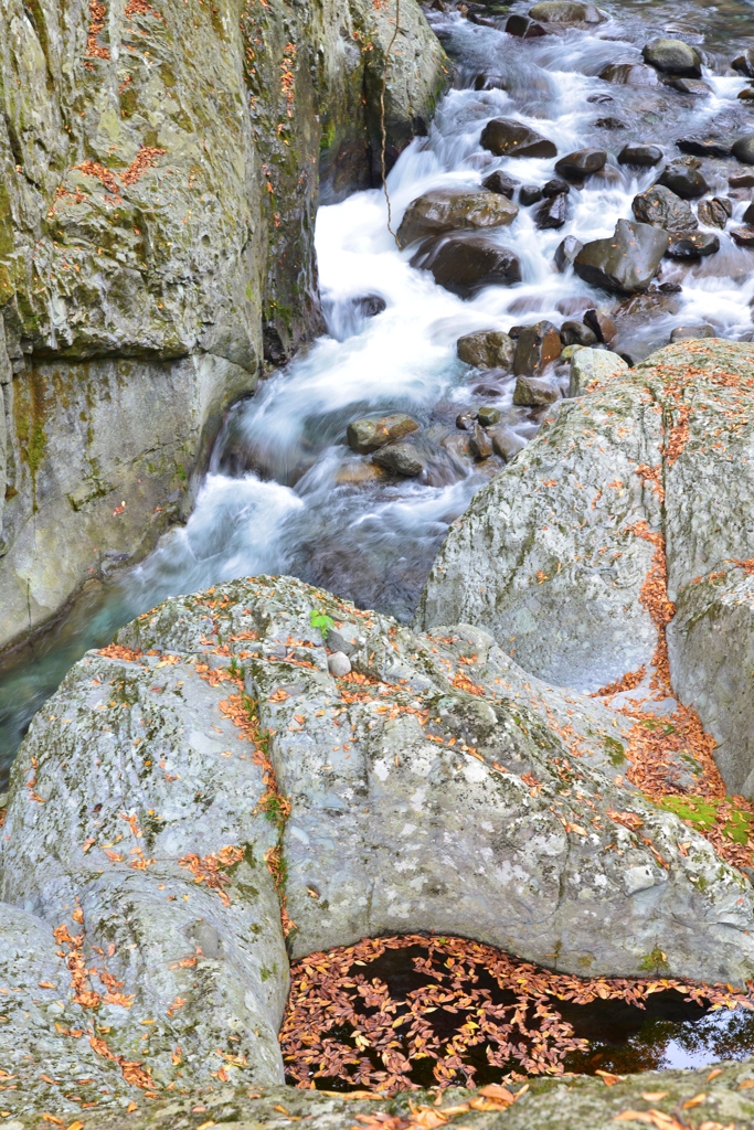 「水」　動と静