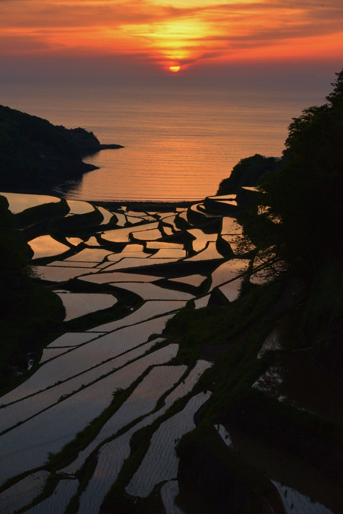 浜野浦棚田～夕陽に包まれて～