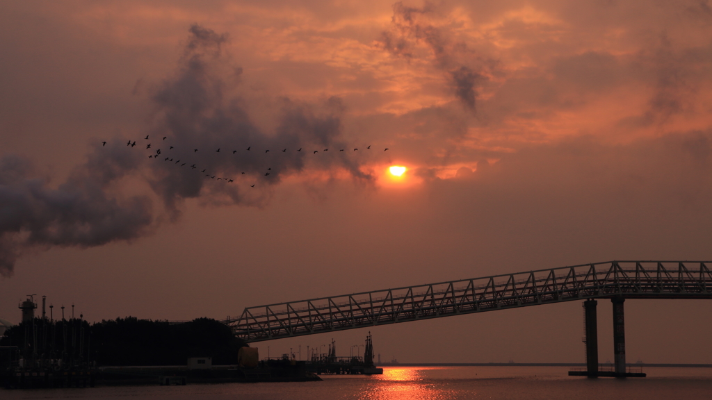 First Rise 2014