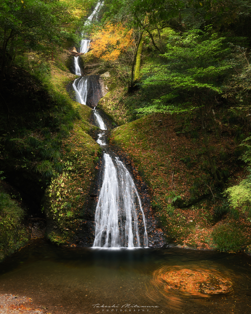 阿寺の七滝、初秋