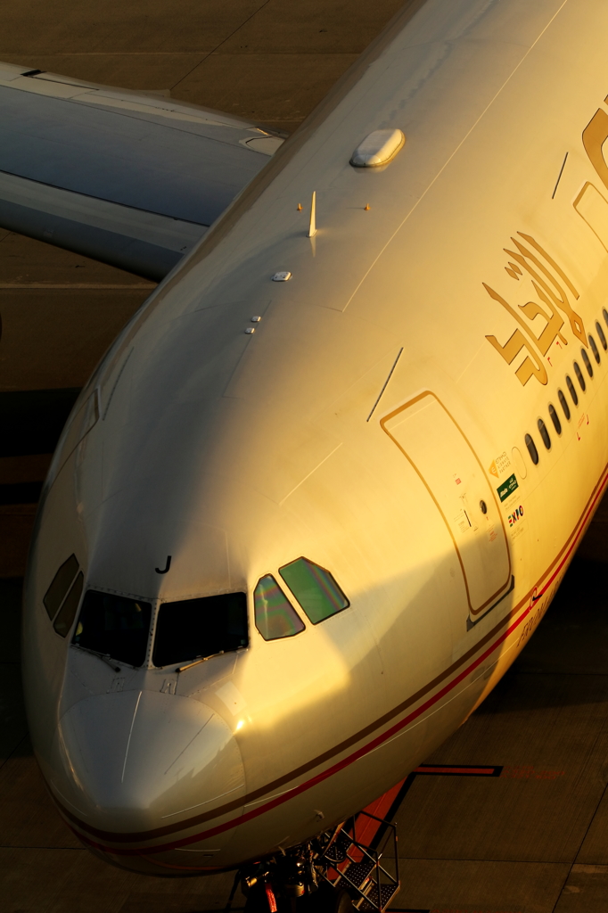 Golden Face...