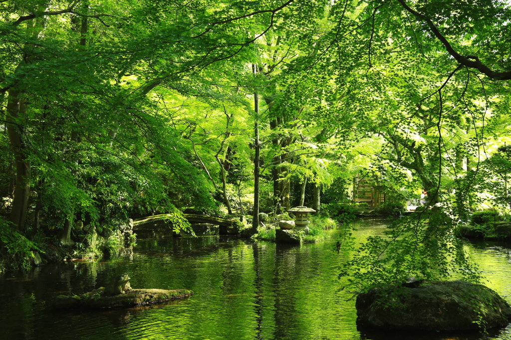 新緑の岐阜公園