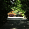 優しい森、神話の森
