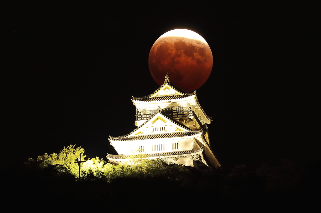 皆既月食の夜