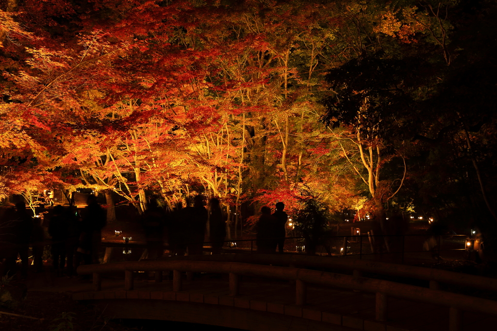 秋彩～曽木の夜Ⅰ～
