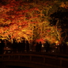 秋彩～曽木の夜Ⅰ～