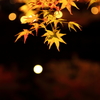 秋彩～曽木の夜Ⅴ～