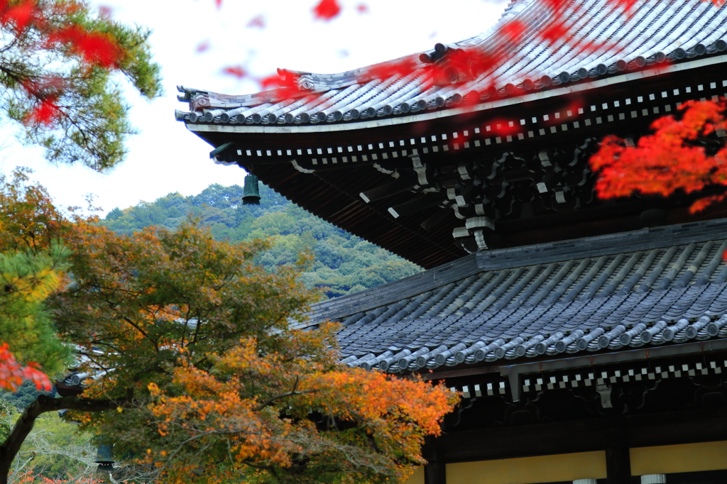秋彩～南禅寺Ⅱ～