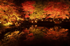 秋彩～曽木の夜Ⅵ～
