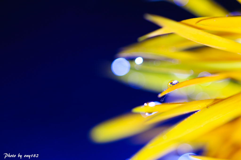 Splash!