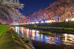 春の散歩道