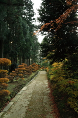 秋彩～近江孤篷庵、参道～
